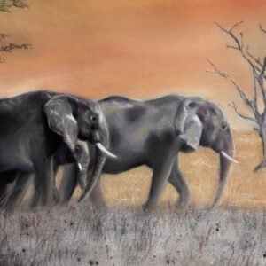 Famille d'Eléphants - Pastel - 40 x 30 cm - 200 €