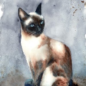 La Pose du Chat - Aquarelle - 30 x 40 cm - 180 €