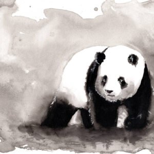 La Démarche du Panda - Encre de Chine - 29,7 x 21 cm - 115 €