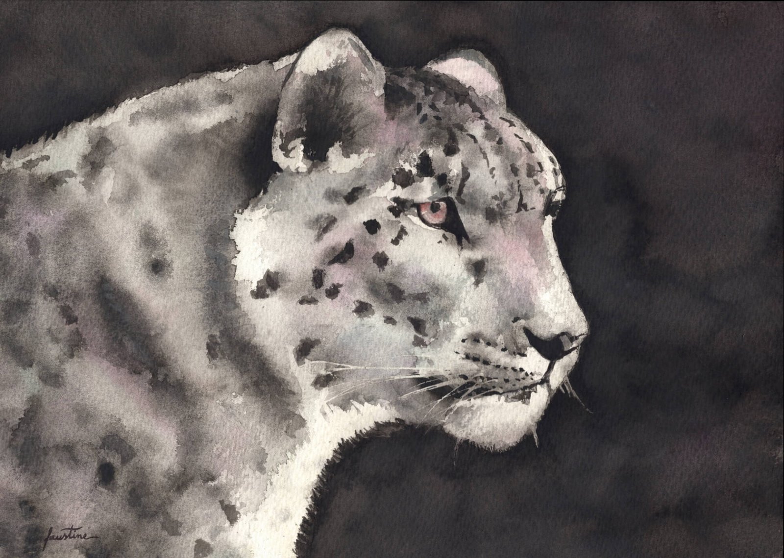 Panthère des neiges - Aquarelle - 36 x 26 cm - 160 €