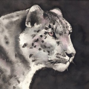 Panthère des neiges - Aquarelle - 36 x 26 cm - 160 €
