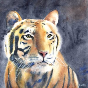 Regard Félin - Aquarelle - 40 x 40 cm -
