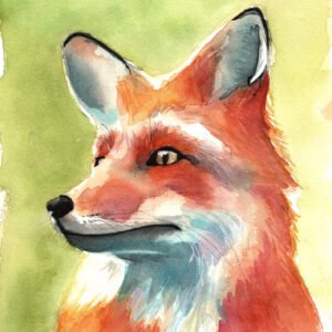 La Ruse du Renard - Aquarelle - 21 x 29,7 cm - 115 €