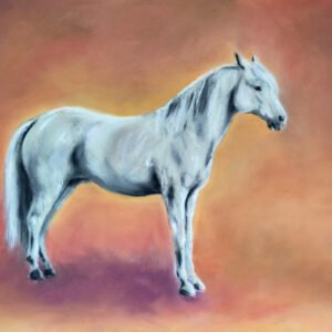 Cheval sur fond coloré Pastel - 50 x 40 cm 250 €