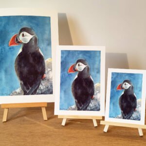 Macareux oiseau Bretagne impression