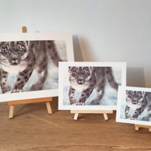 aquarelle approche panthère neige impression