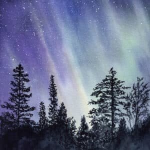 aquarelle aurores boréales ciel forêt