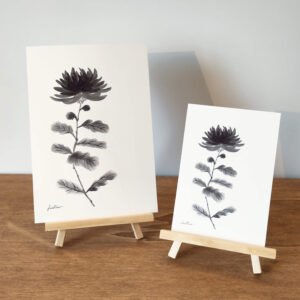 Encre Chine Chrysanthème impression