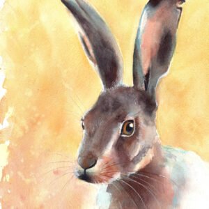 Le Lièvre - Aquarelle - 30 x 40 cm - 180 €