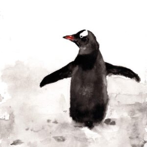 Encre de chine manchot