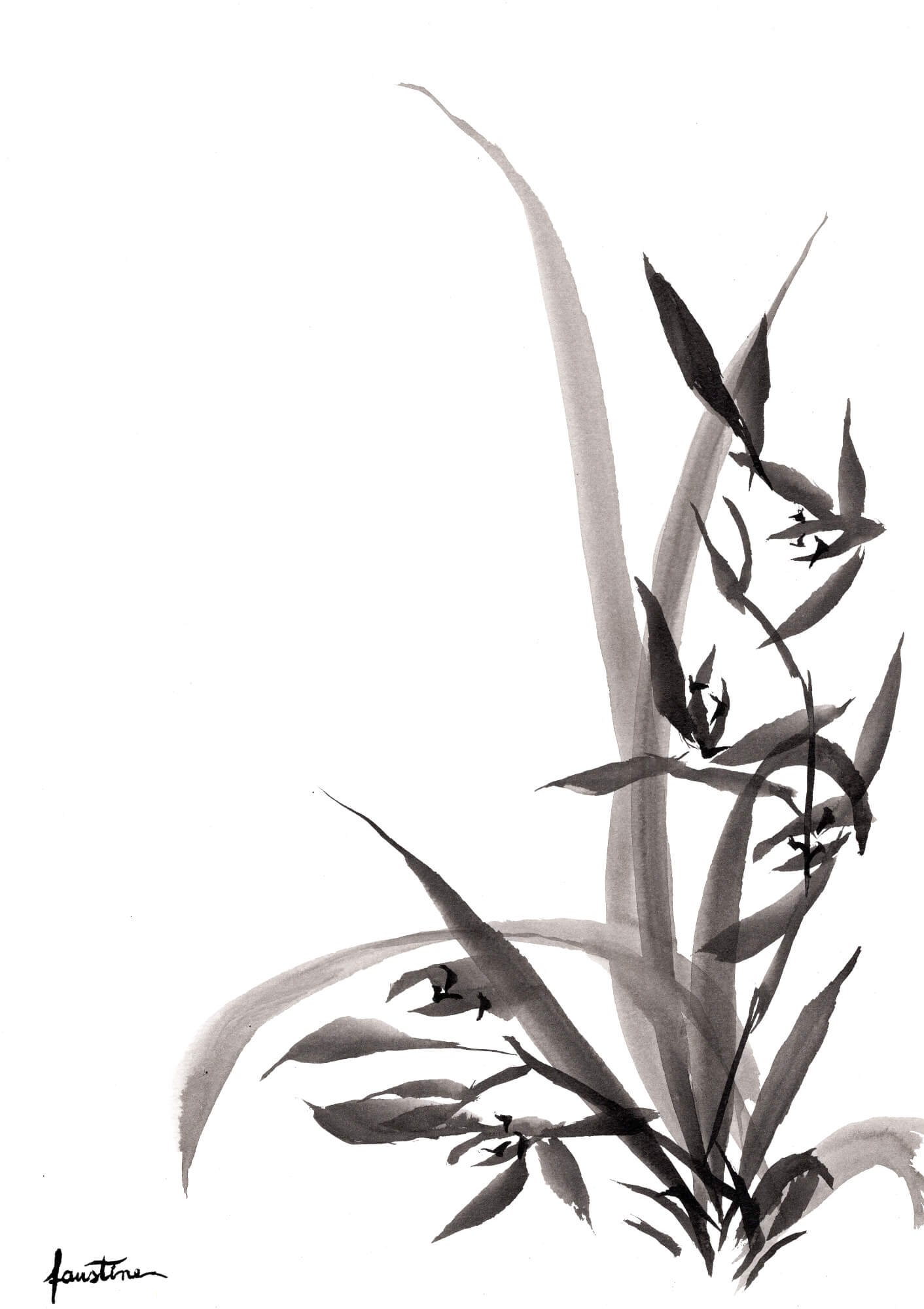 orchidée encre de chine