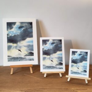 aquarelle ciel orage oiseaux impression