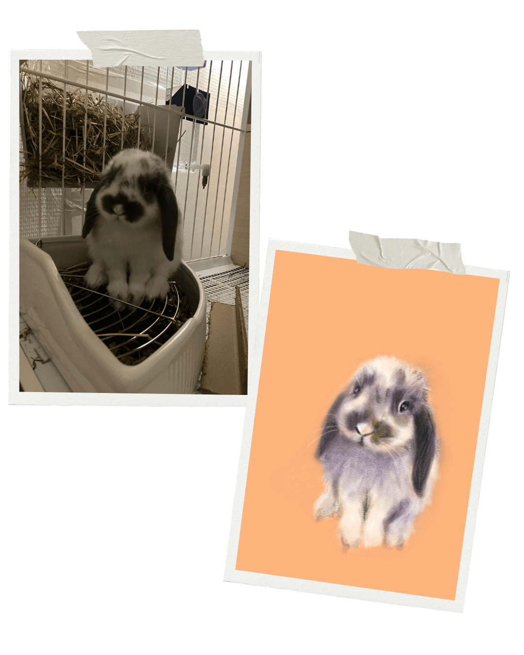 Commande personnalisée #3